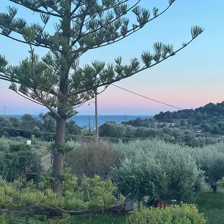 度假居 Felicity Seaside Retreat 埃尔米奥尼